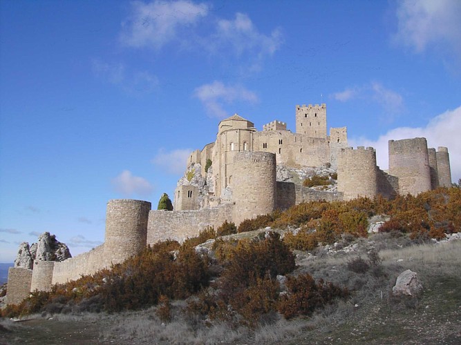 Aragón pierde 7.199 comercios autónomos, un comercio al día